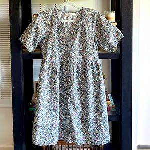 Loft Button Front Dress